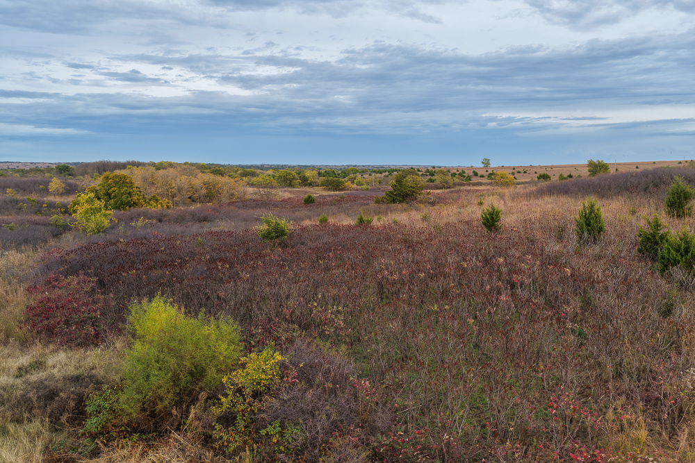 Ellis County Hunting Property