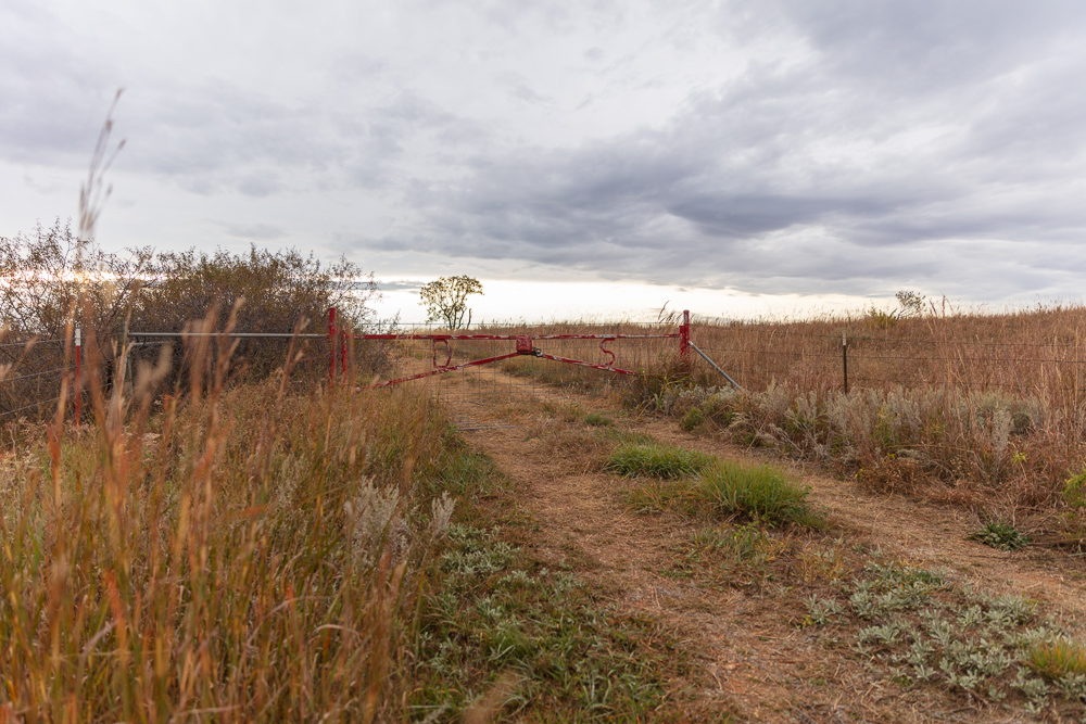 Ellis County Hunting Property