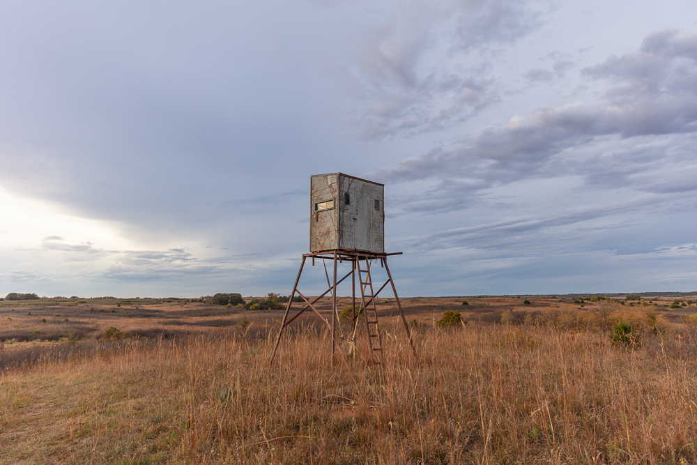 Ellis County Hunting Property