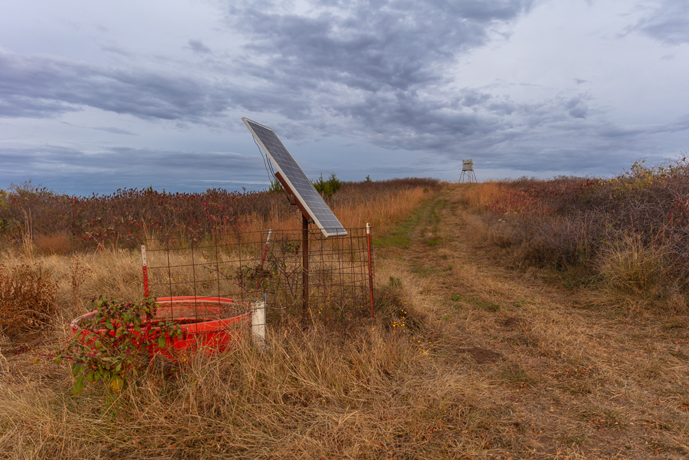 Ellis County Hunting Property