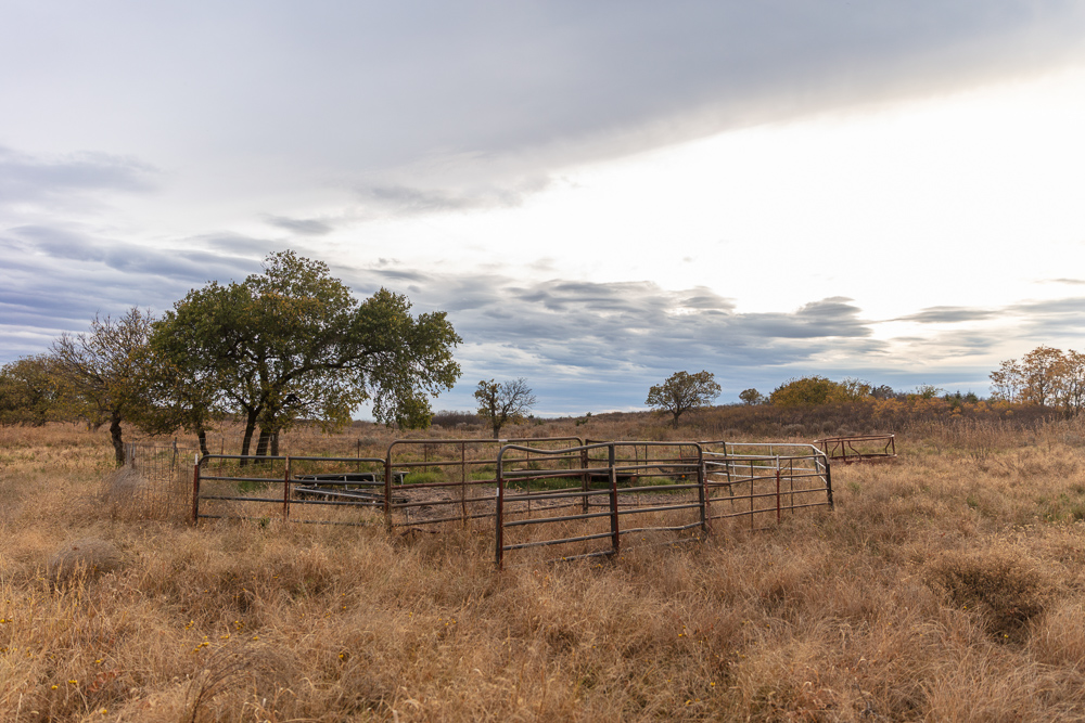 Ellis County Hunting Property