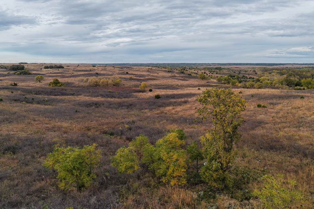 Ellis County Hunting Property