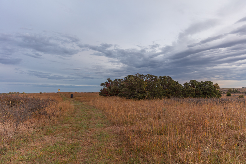 Ellis County Hunting Property