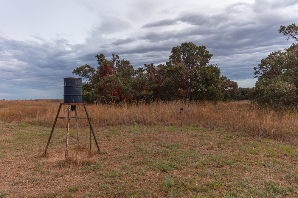 Ellis County Hunting Property