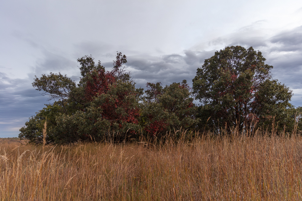 Ellis County Hunting Property