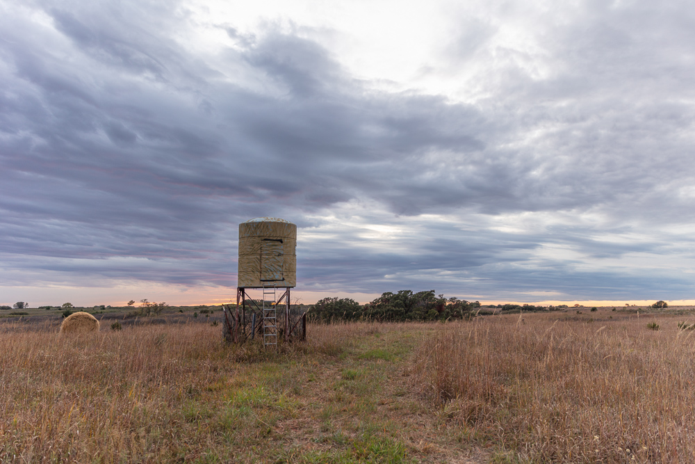 Ellis County Hunting Property