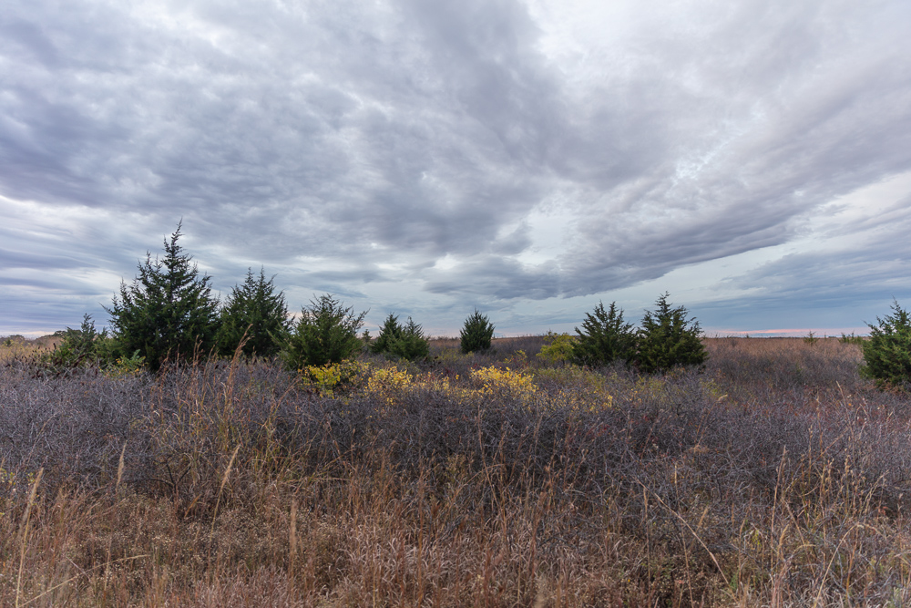 Ellis County Hunting Property