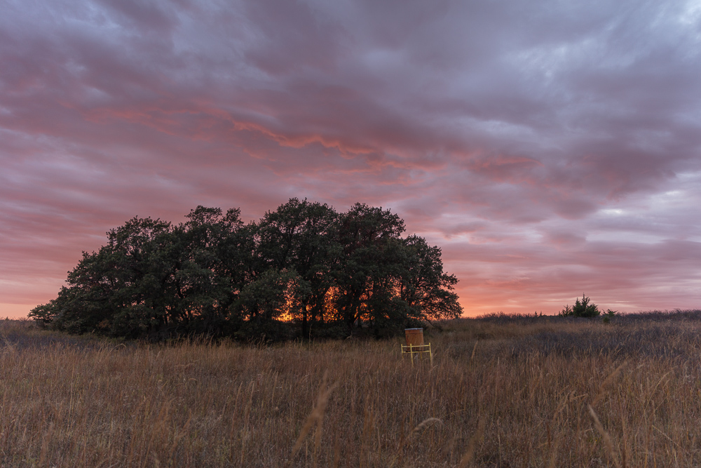 Ellis County Hunting Property