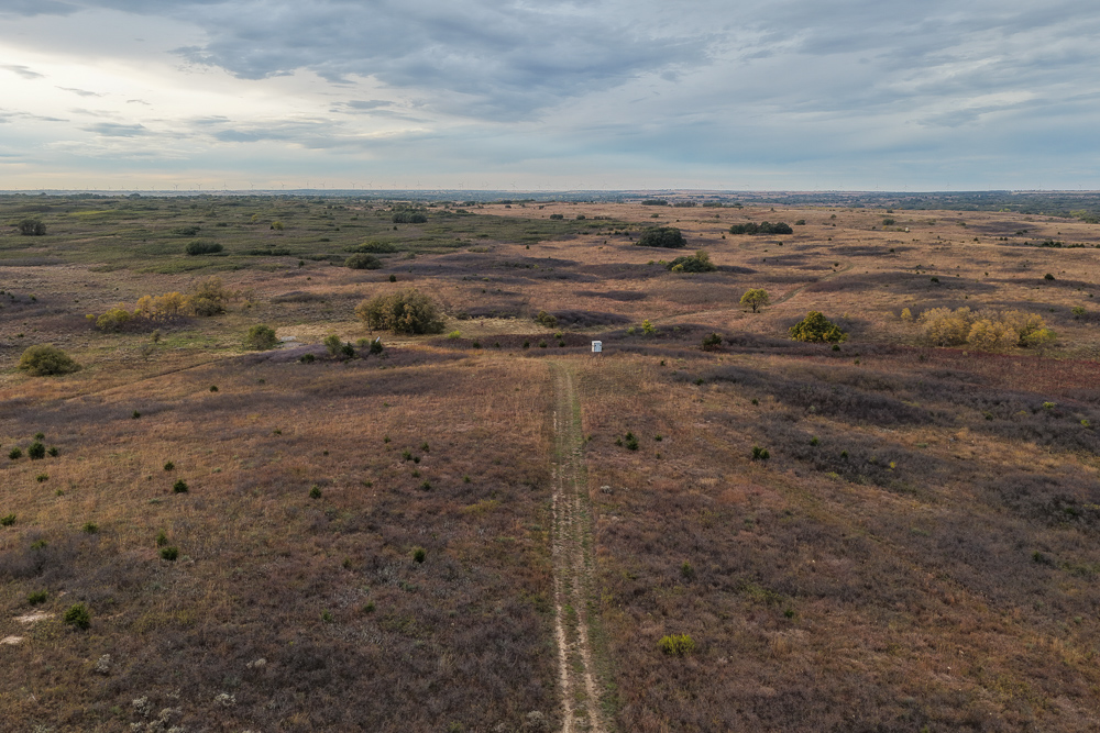 Ellis County Hunting Property