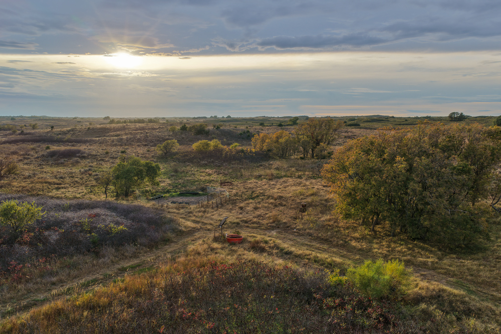 Ellis County Hunting Property