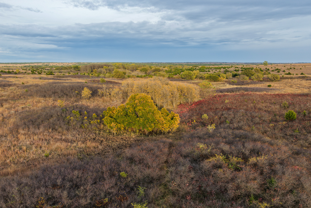 Ellis County Hunting Property