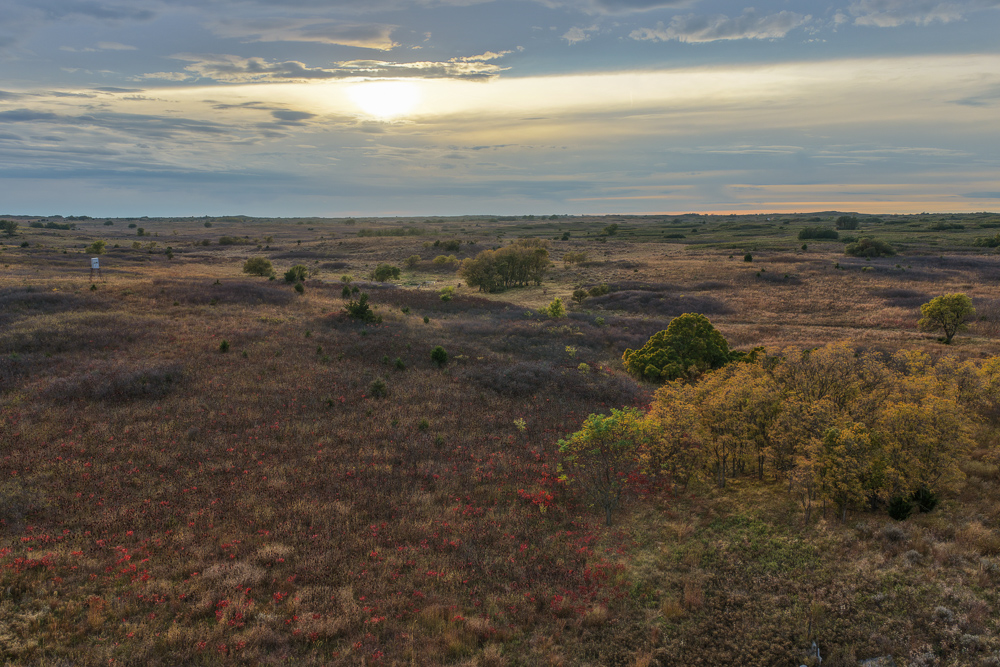 Ellis County Hunting Property