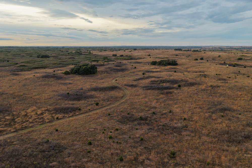 Ellis County Hunting Property