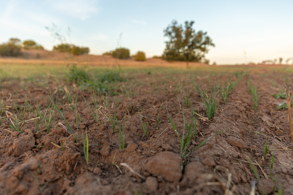 Premium Otter Creek Hunting & Recreational Ranch