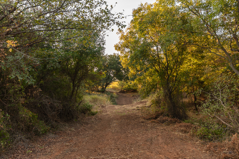 Premium Otter Creek Hunting & Recreational Ranch