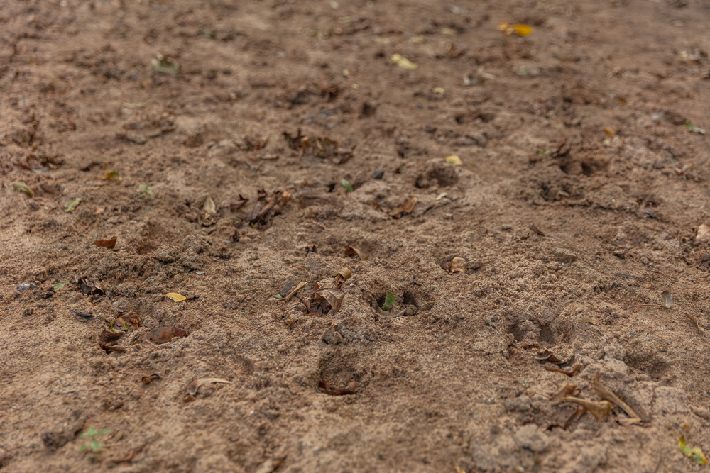 Premium Otter Creek Hunting & Recreational Ranch