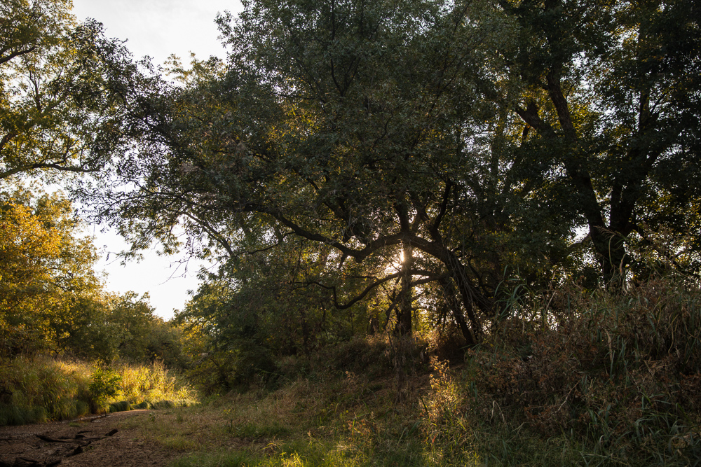 Premium Otter Creek Hunting & Recreational Ranch