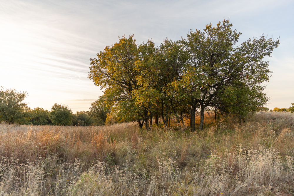 Premium Otter Creek Hunting & Recreational Ranch