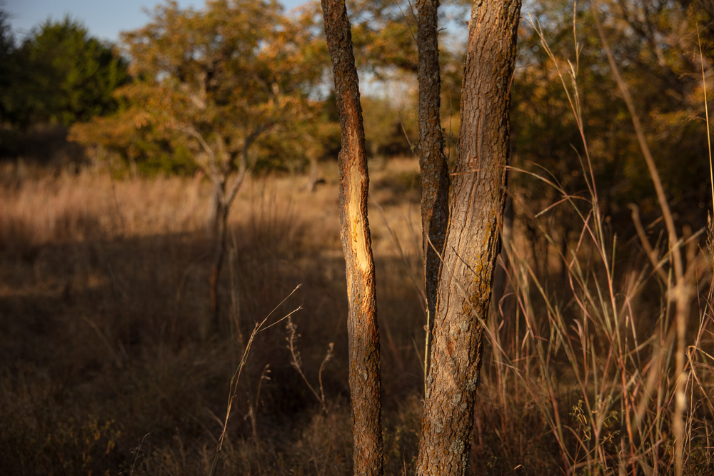 Premium Otter Creek Hunting & Recreational Ranch