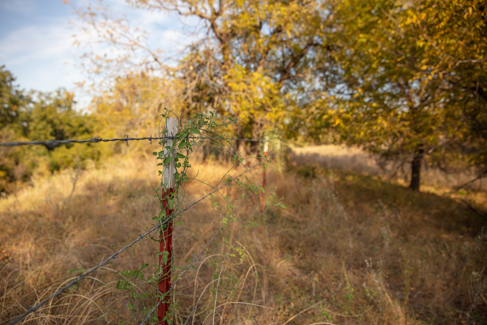 Premium Otter Creek Hunting & Recreational Ranch