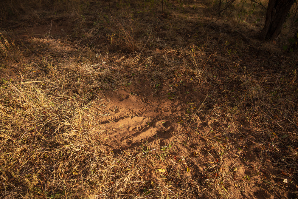 Premium Otter Creek Hunting & Recreational Ranch