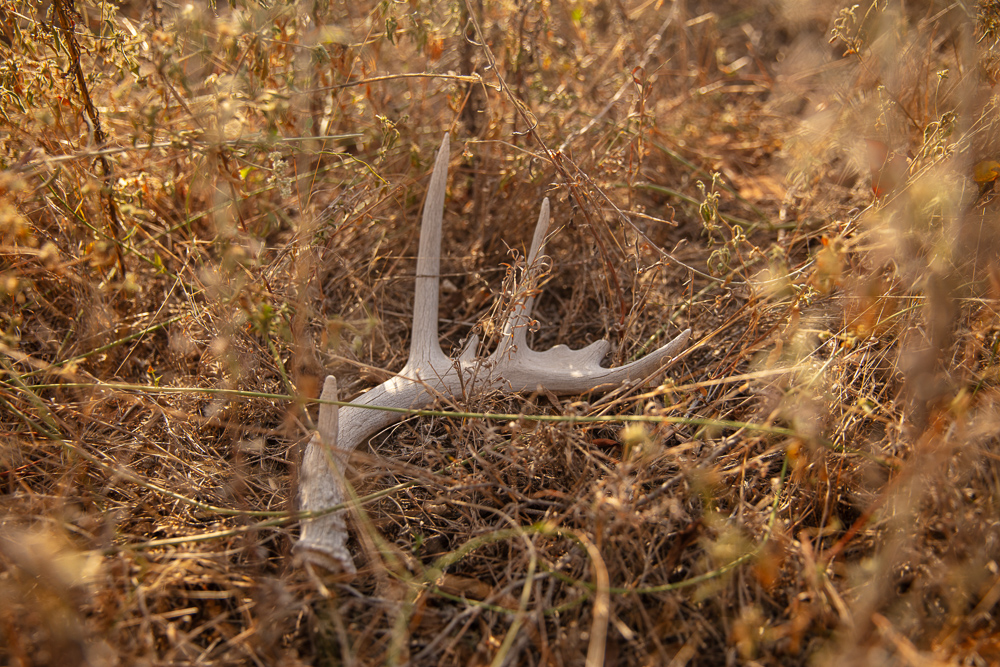 Premium Otter Creek Hunting & Recreational Ranch