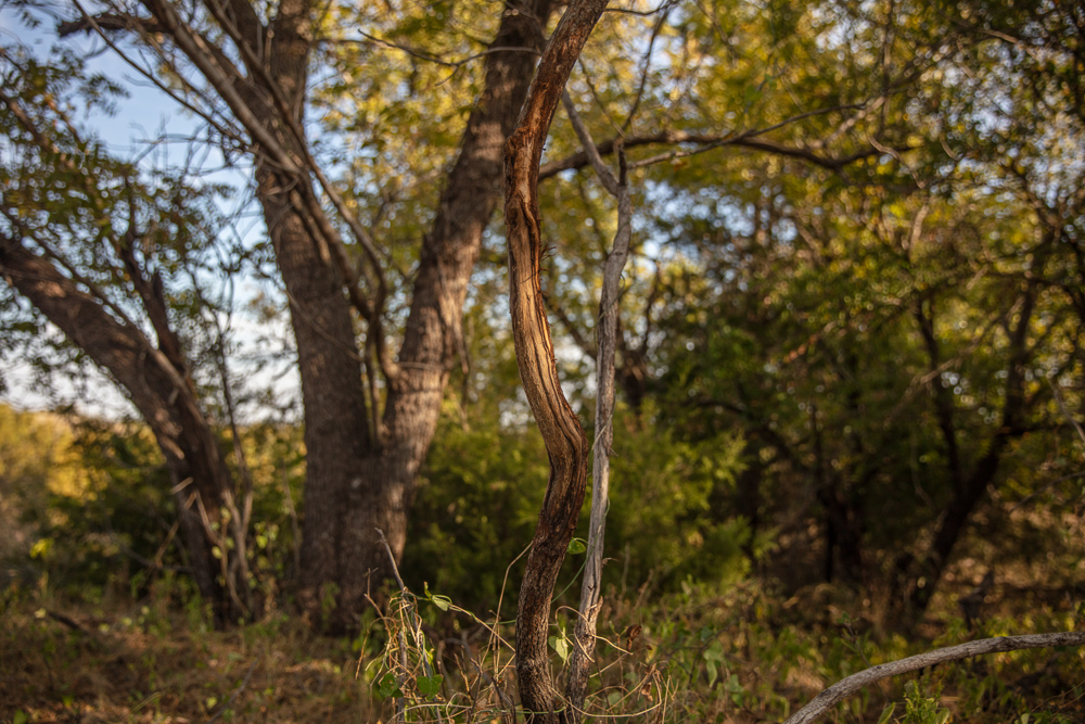 Premium Otter Creek Hunting & Recreational Ranch