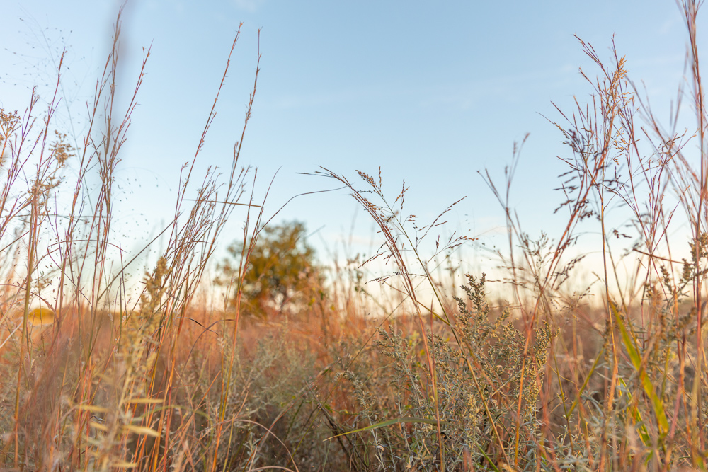 Premium Otter Creek Hunting & Recreational Ranch
