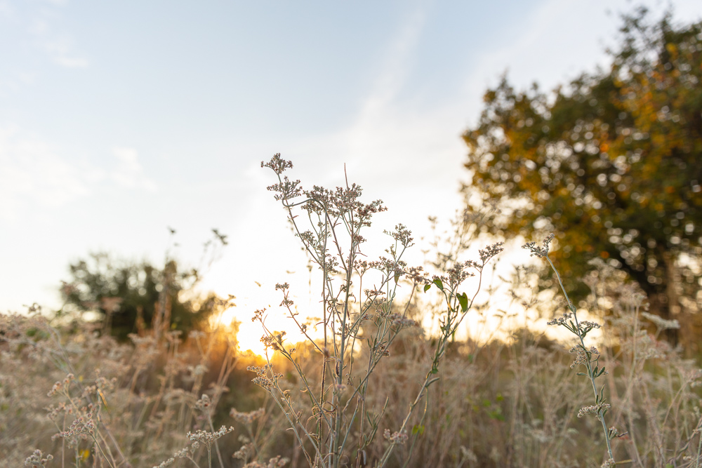 Premium Otter Creek Hunting & Recreational Ranch
