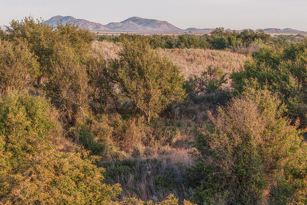 Premium Otter Creek Hunting & Recreational Ranch