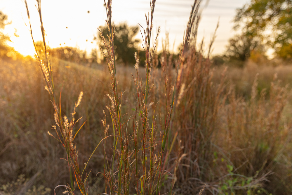 Premium Otter Creek Hunting & Recreational Ranch