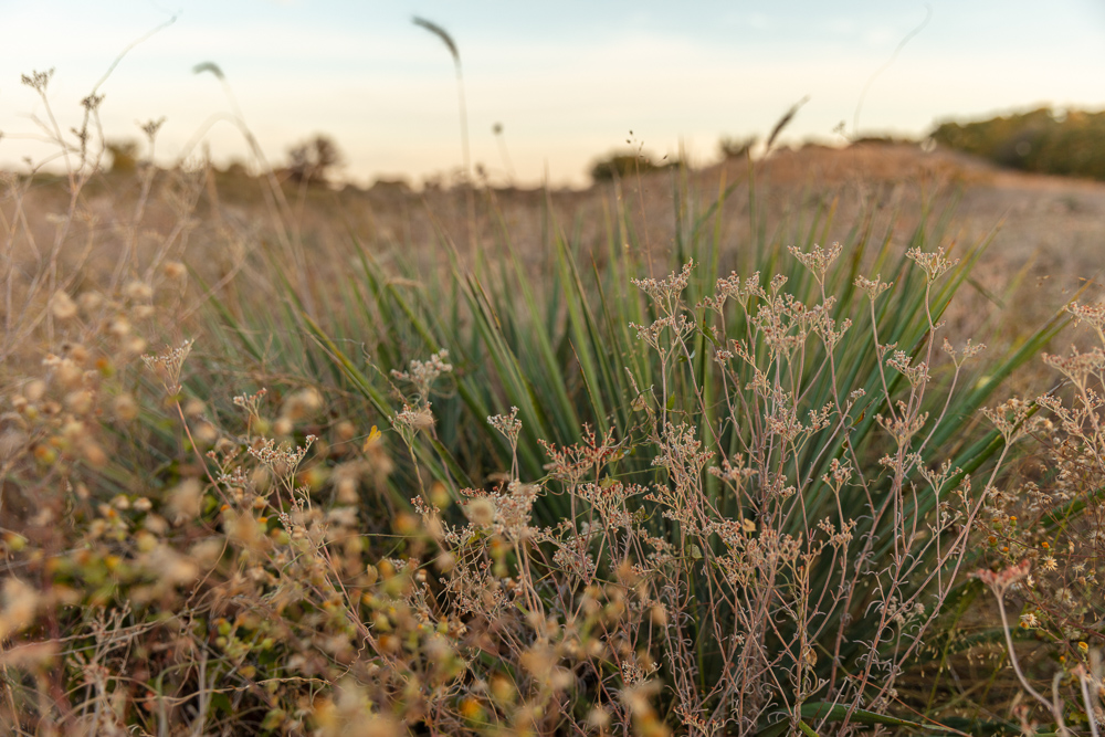 Premium Otter Creek Hunting & Recreational Ranch