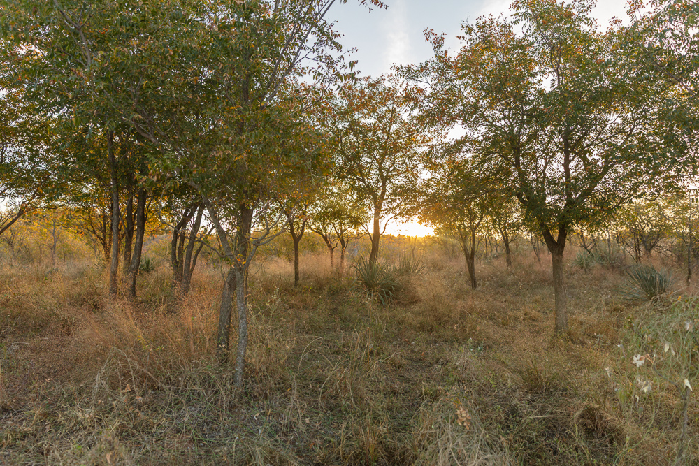 Premium Otter Creek Hunting & Recreational Ranch