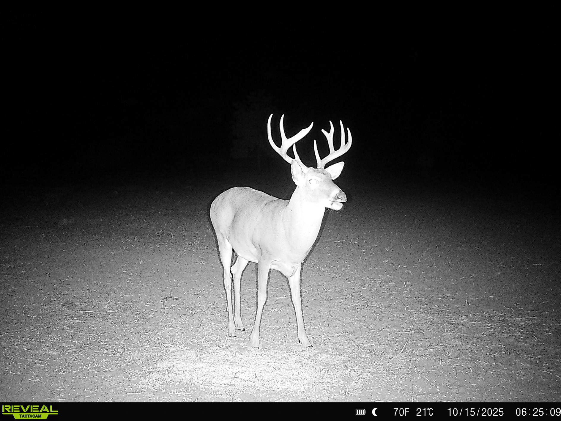 Premium Otter Creek Hunting & Recreational Ranch