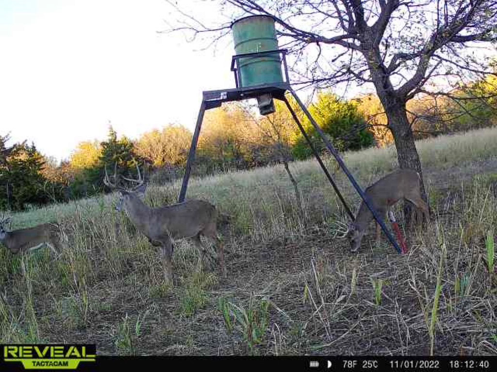 Premium Otter Creek Hunting & Recreational Ranch