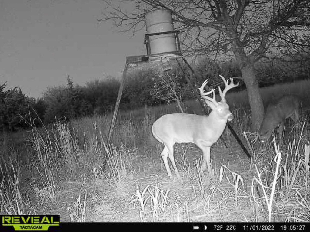 Premium Otter Creek Hunting & Recreational Ranch