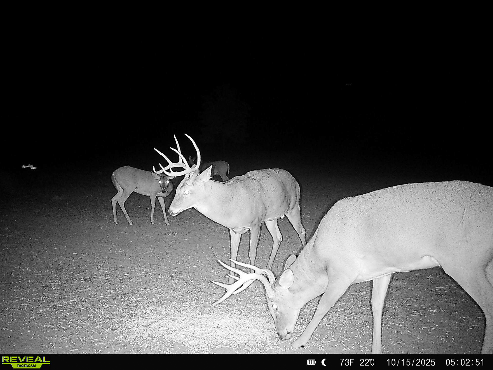 Premium Otter Creek Hunting & Recreational Ranch