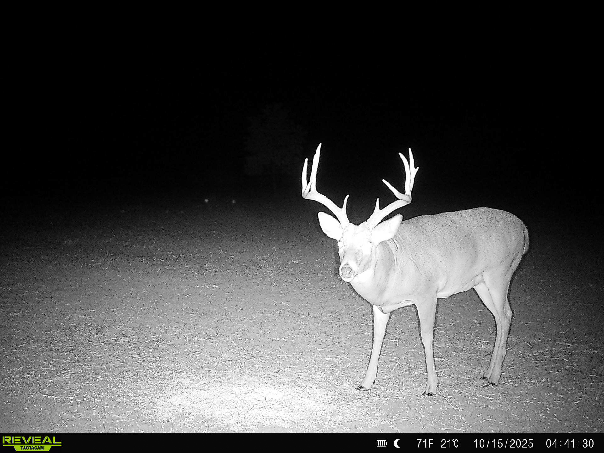 Premium Otter Creek Hunting & Recreational Ranch