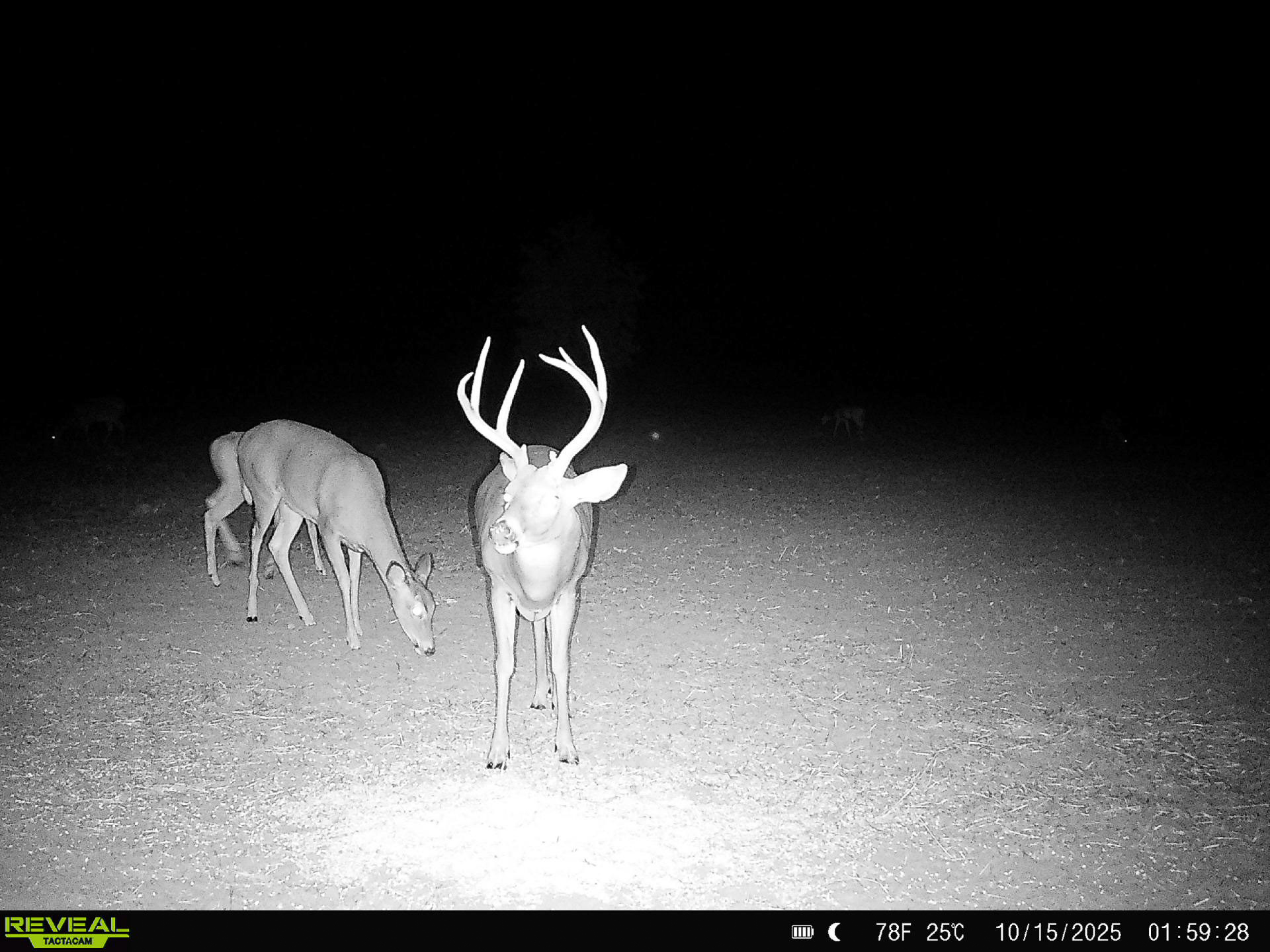 Premium Otter Creek Hunting & Recreational Ranch