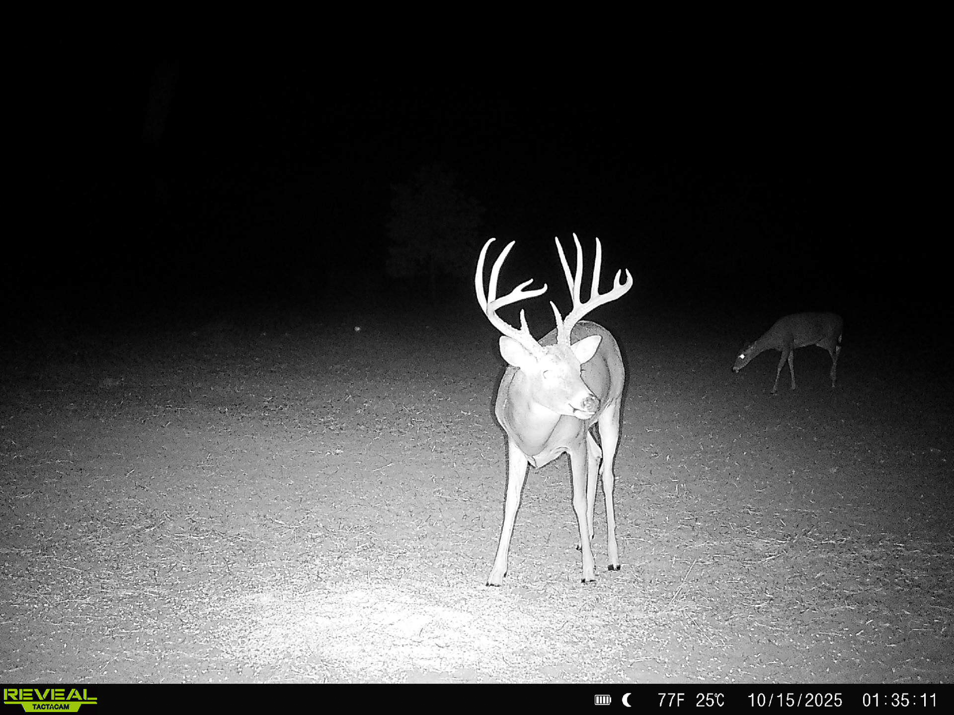 Premium Otter Creek Hunting & Recreational Ranch