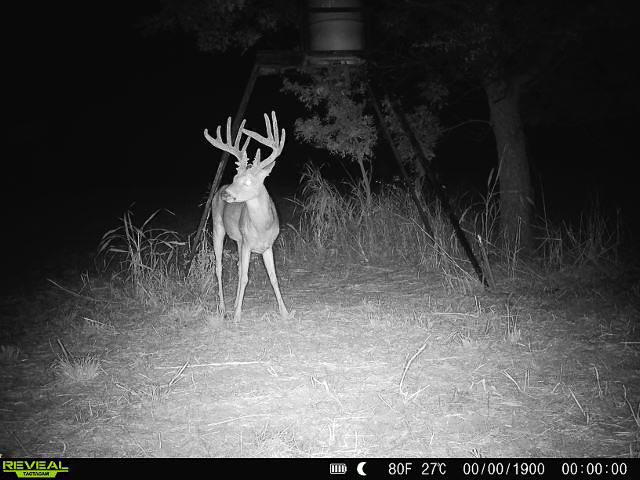 Premium Otter Creek Hunting & Recreational Ranch