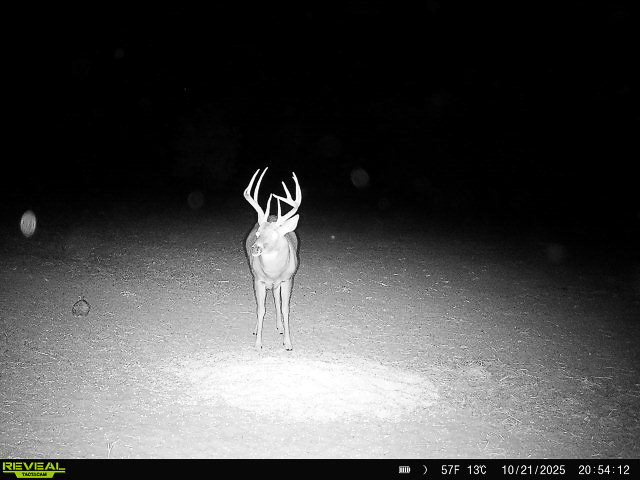 Premium Otter Creek Hunting & Recreational Ranch