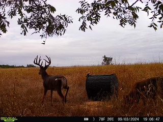 Premium Otter Creek Hunting & Recreational Ranch