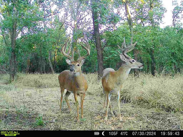 Premium Otter Creek Hunting & Recreational Ranch