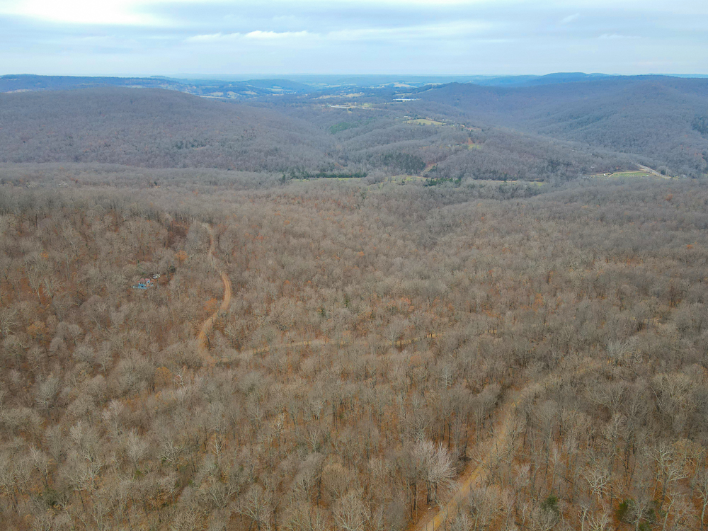 Wooded Ozark Tract With Views, Privacy, and Wildlife