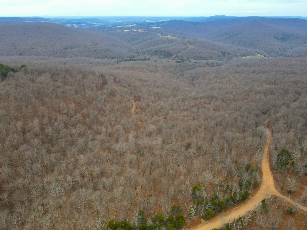 Wooded Ozark Tract With Views, Privacy, and Wildlife