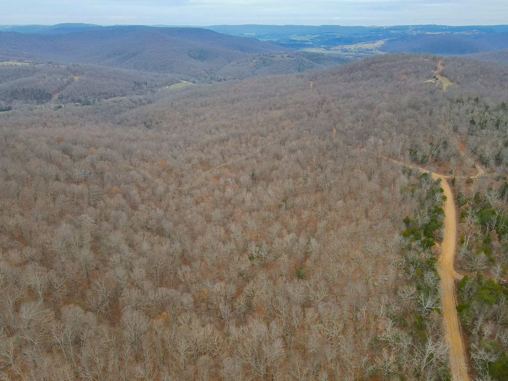 Wooded Ozark Tract With Views, Privacy, and Wildlife