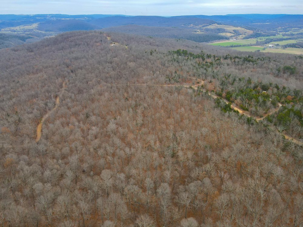 Wooded Ozark Tract With Views, Privacy, and Wildlife
