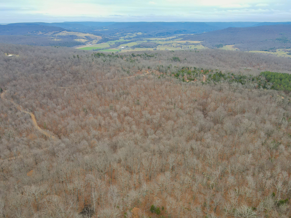 Wooded Ozark Tract With Views, Privacy, and Wildlife