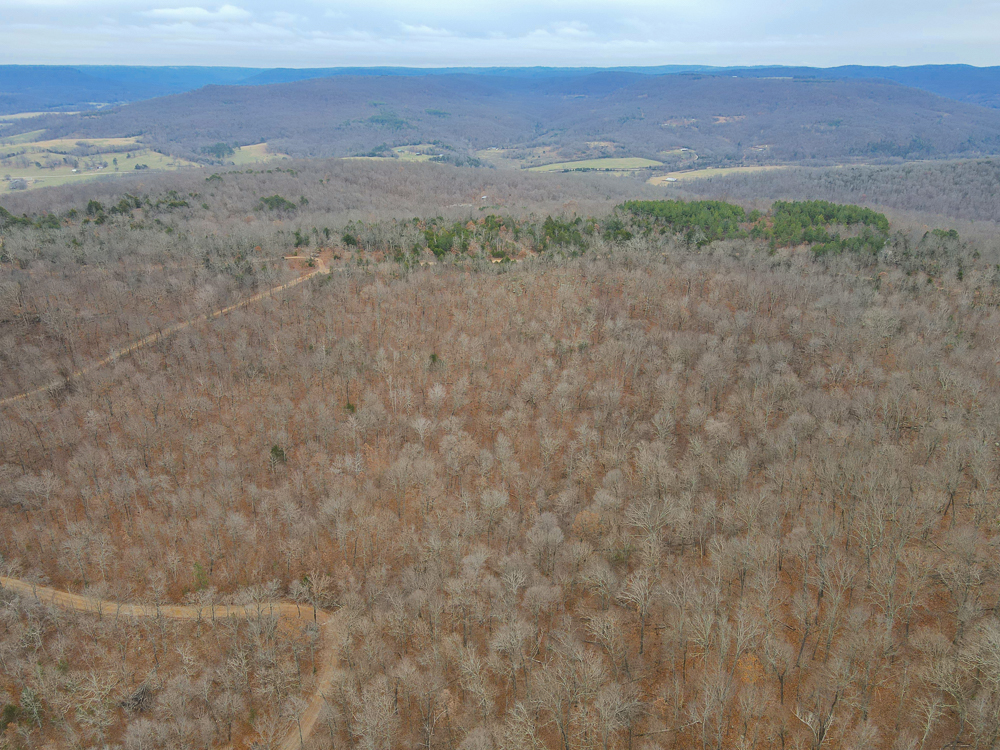 Wooded Ozark Tract With Views, Privacy, and Wildlife